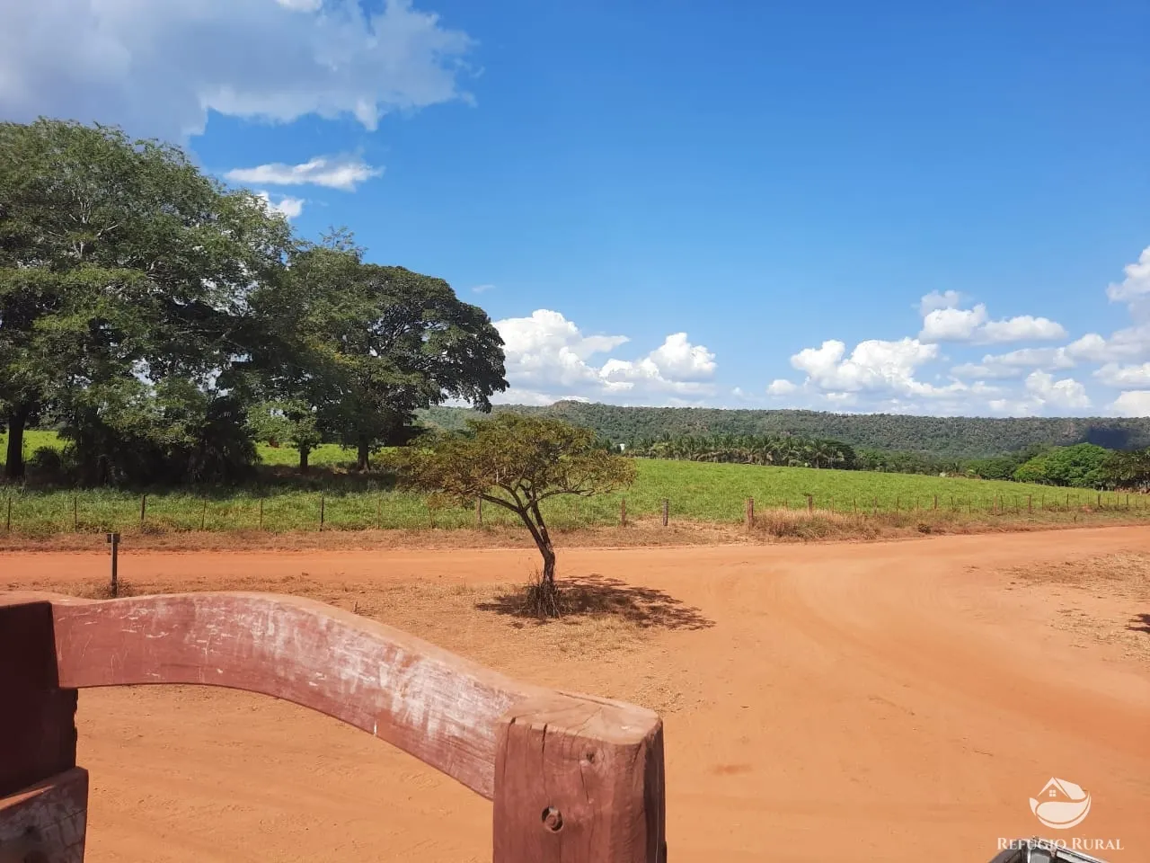Farm for sale of 48,974 acres in Goiatins, TO, Brazil
