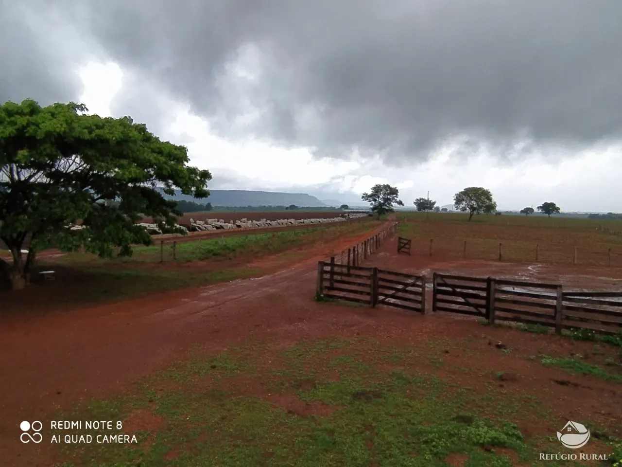 Farm for sale of 48,974 acres in Goiatins, TO, Brazil