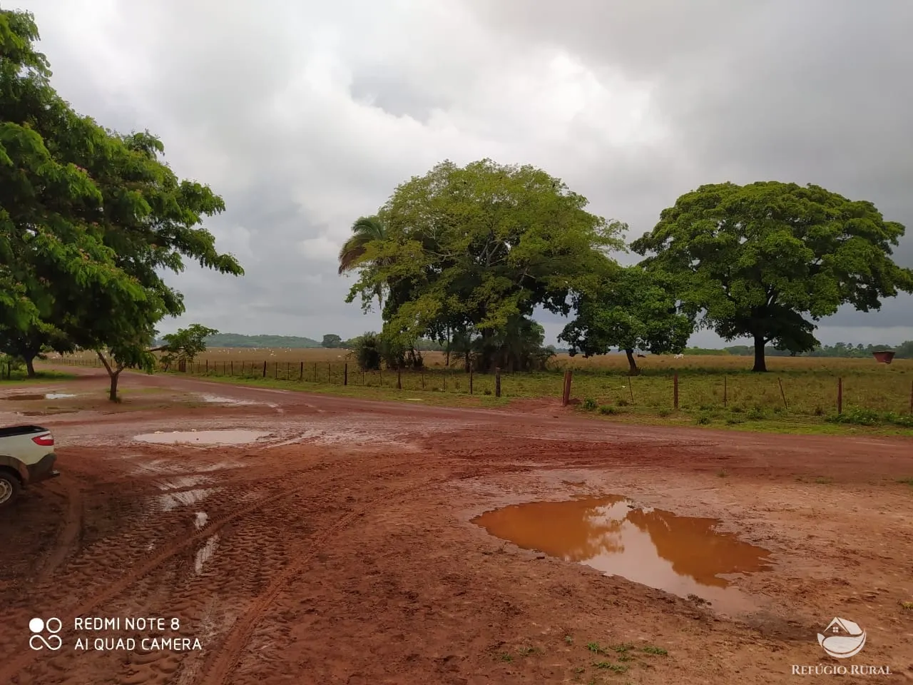 Farm for sale of 48,974 acres in Goiatins, TO, Brazil