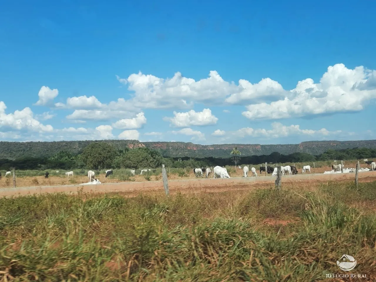 Farm for sale of 48,974 acres in Goiatins, TO, Brazil