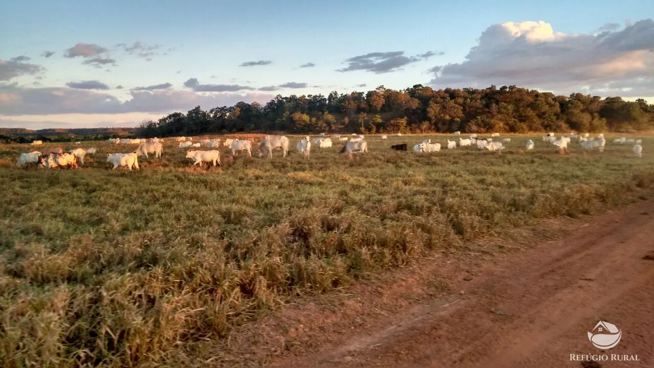 Farm for sale of 48,974 acres in Goiatins, TO, Brazil