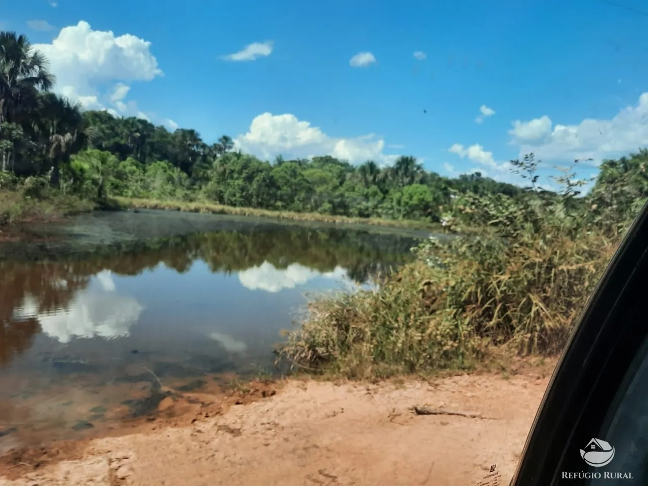 Farm for sale of 48,974 acres in Goiatins, TO, Brazil