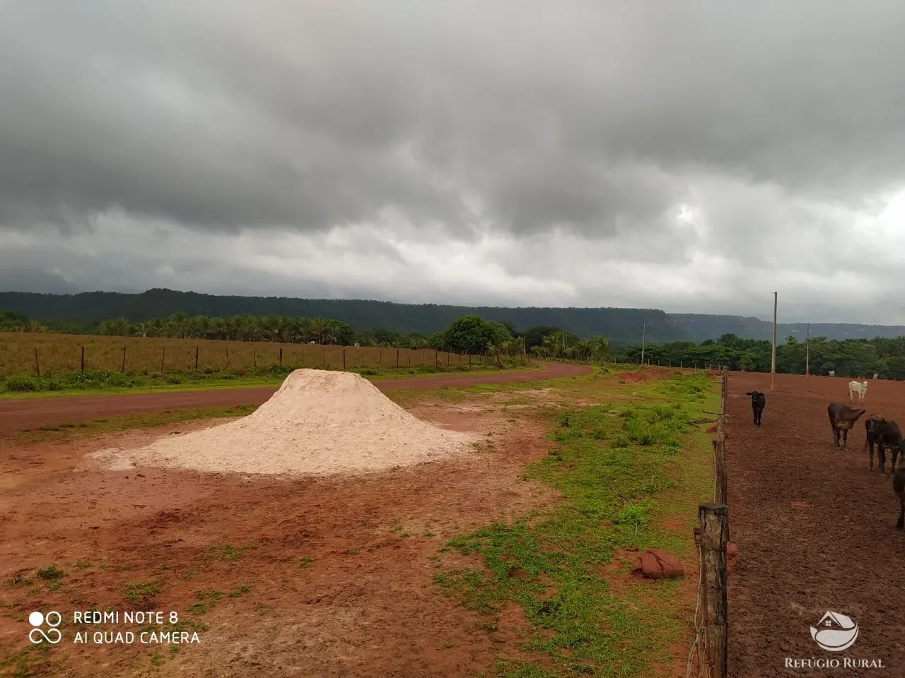 Farm for sale of 48,974 acres in Goiatins, TO, Brazil