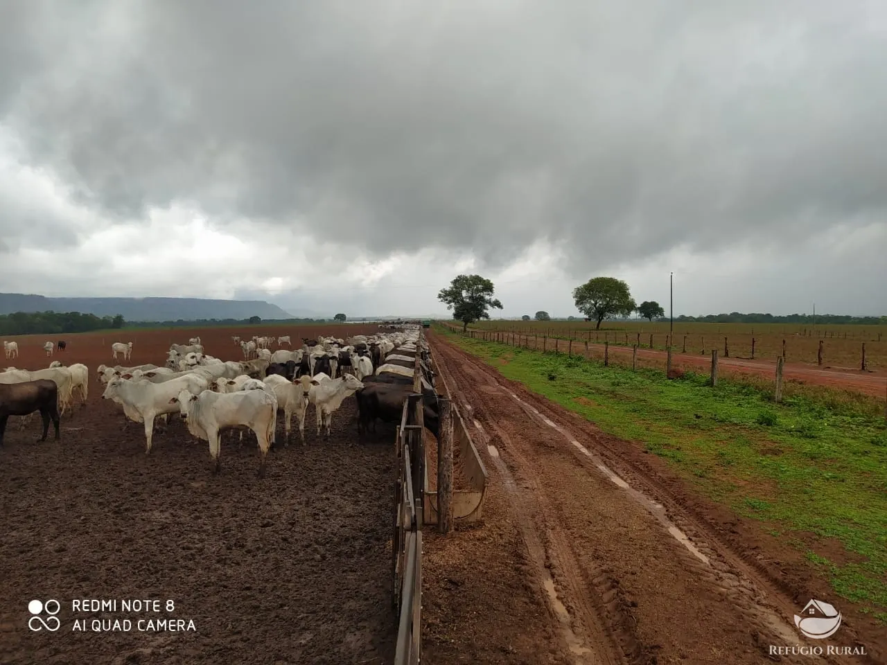 Farm for sale of 48,974 acres in Goiatins, TO, Brazil