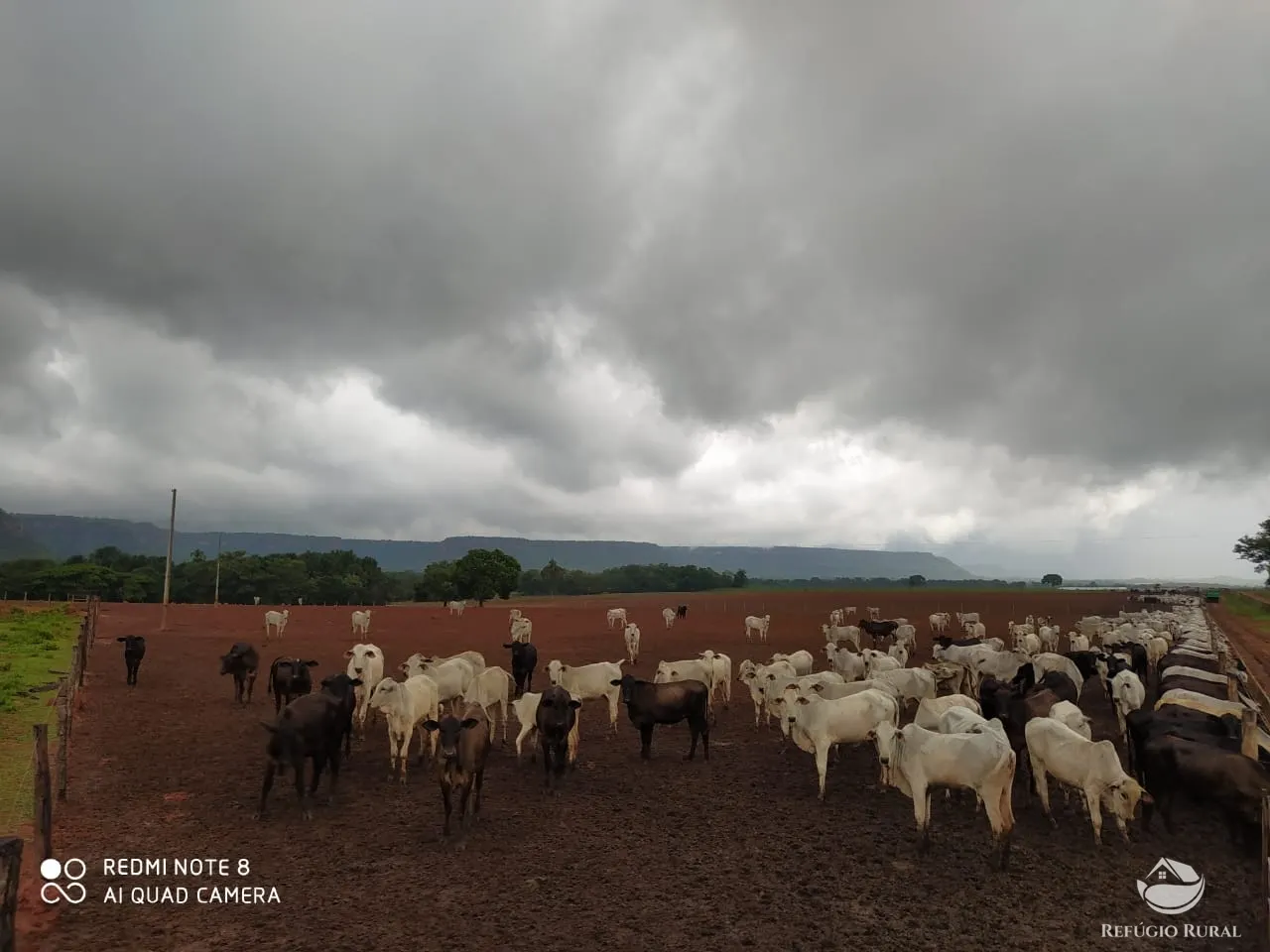 Farm for sale of 48,974 acres in Goiatins, TO, Brazil