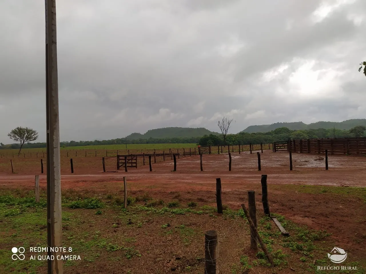 Farm for sale of 48,974 acres in Goiatins, TO, Brazil