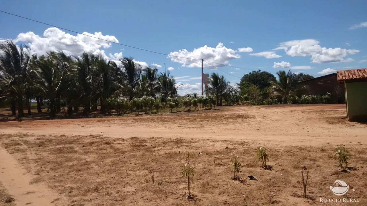 Farm for sale of 48,974 acres in Goiatins, TO, Brazil