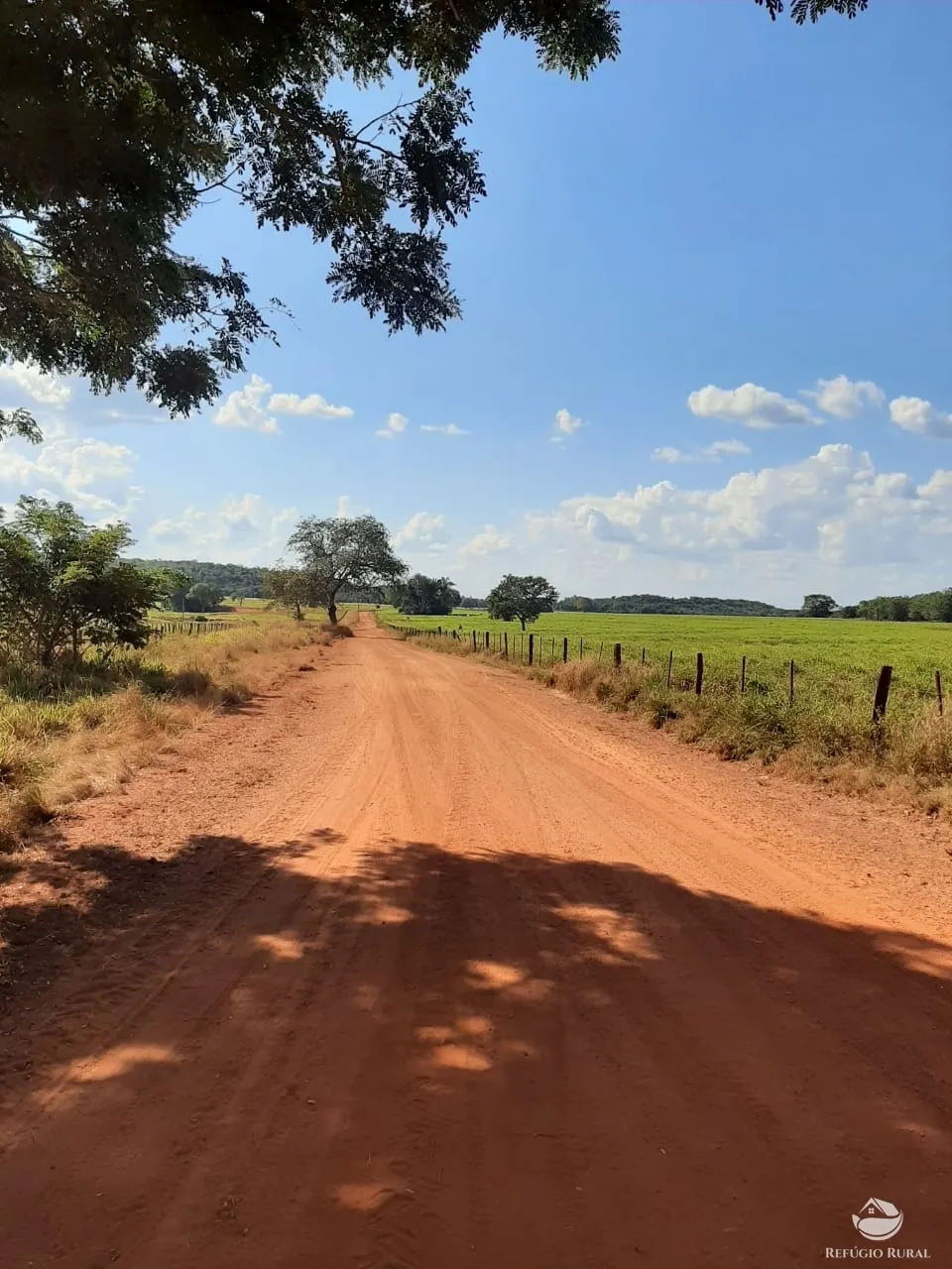 Farm for sale of 48,974 acres in Goiatins, TO, Brazil