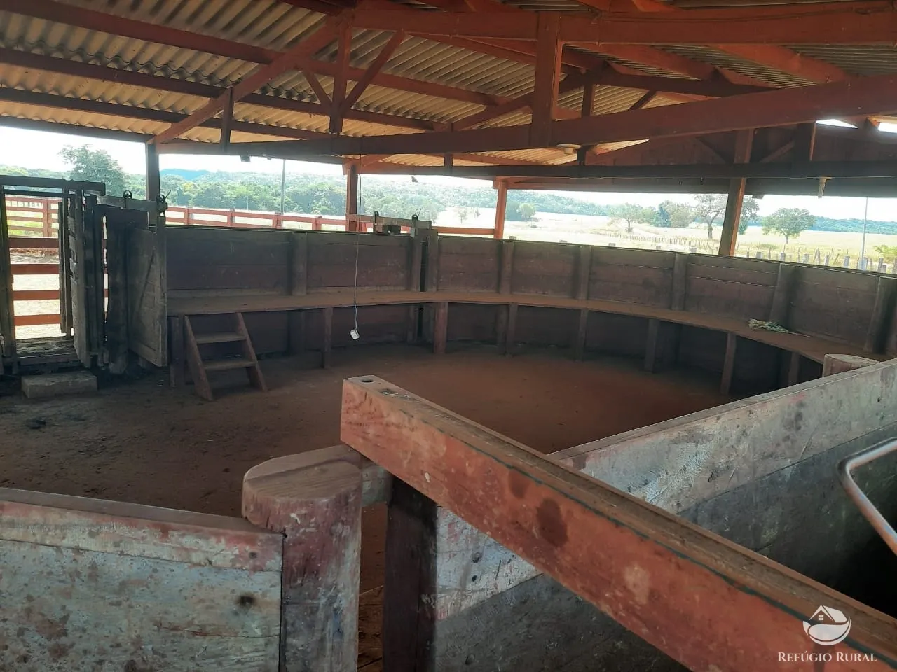 Farm for sale of 48,974 acres in Goiatins, TO, Brazil