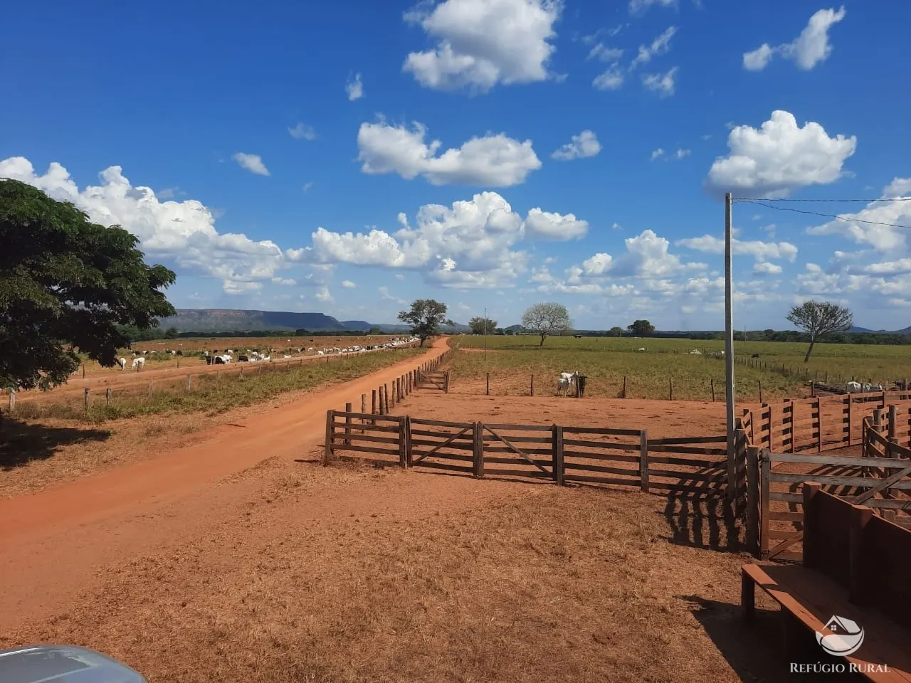 Farm for sale of 48,974 acres in Goiatins, TO, Brazil
