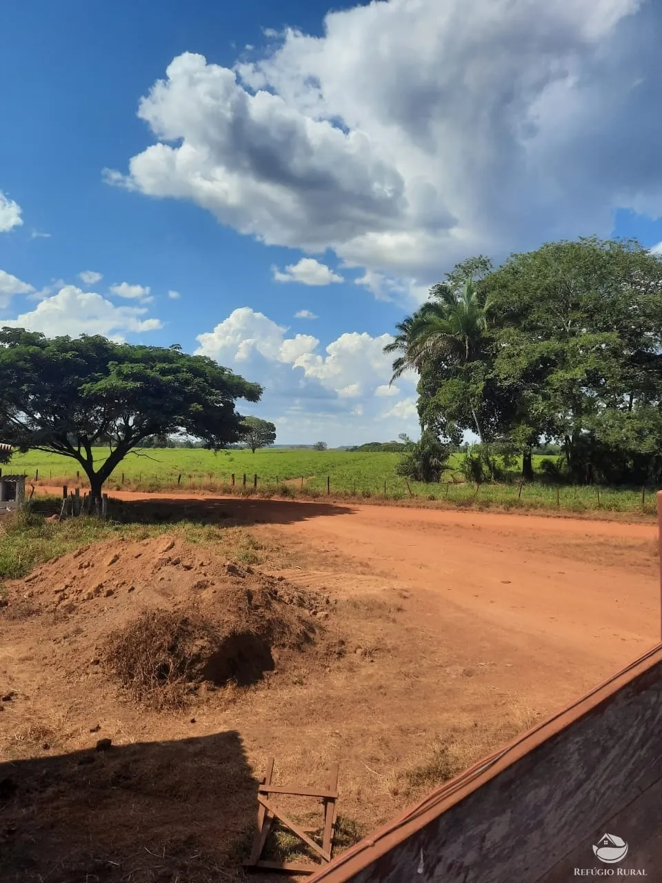 Farm for sale of 48,974 acres in Goiatins, TO, Brazil