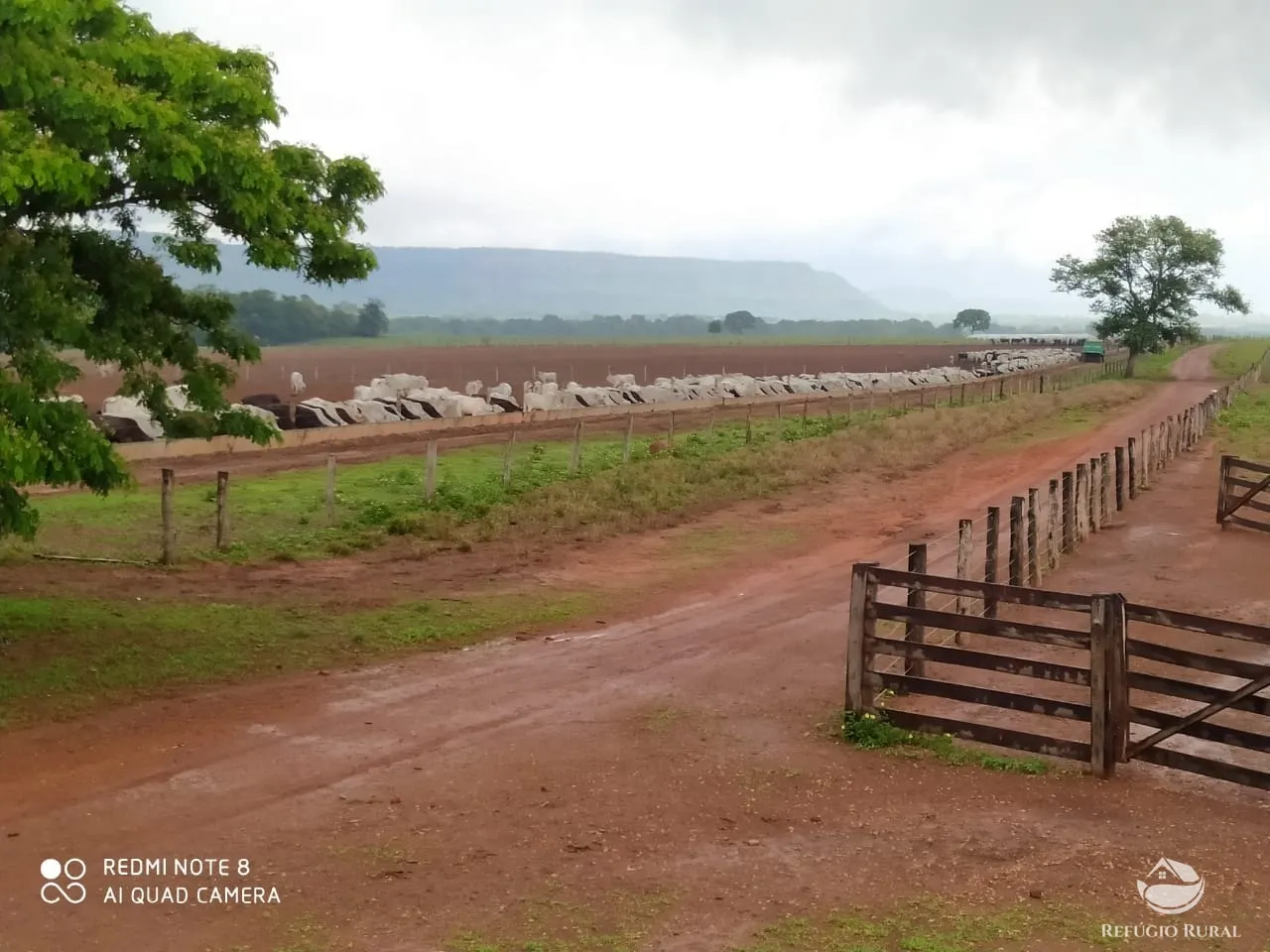 Farm for sale of 48,974 acres in Goiatins, TO, Brazil