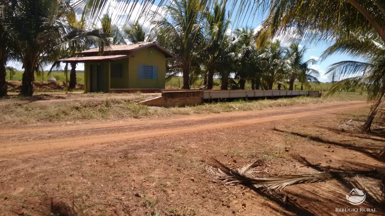 Farm for sale of 48,974 acres in Goiatins, TO, Brazil