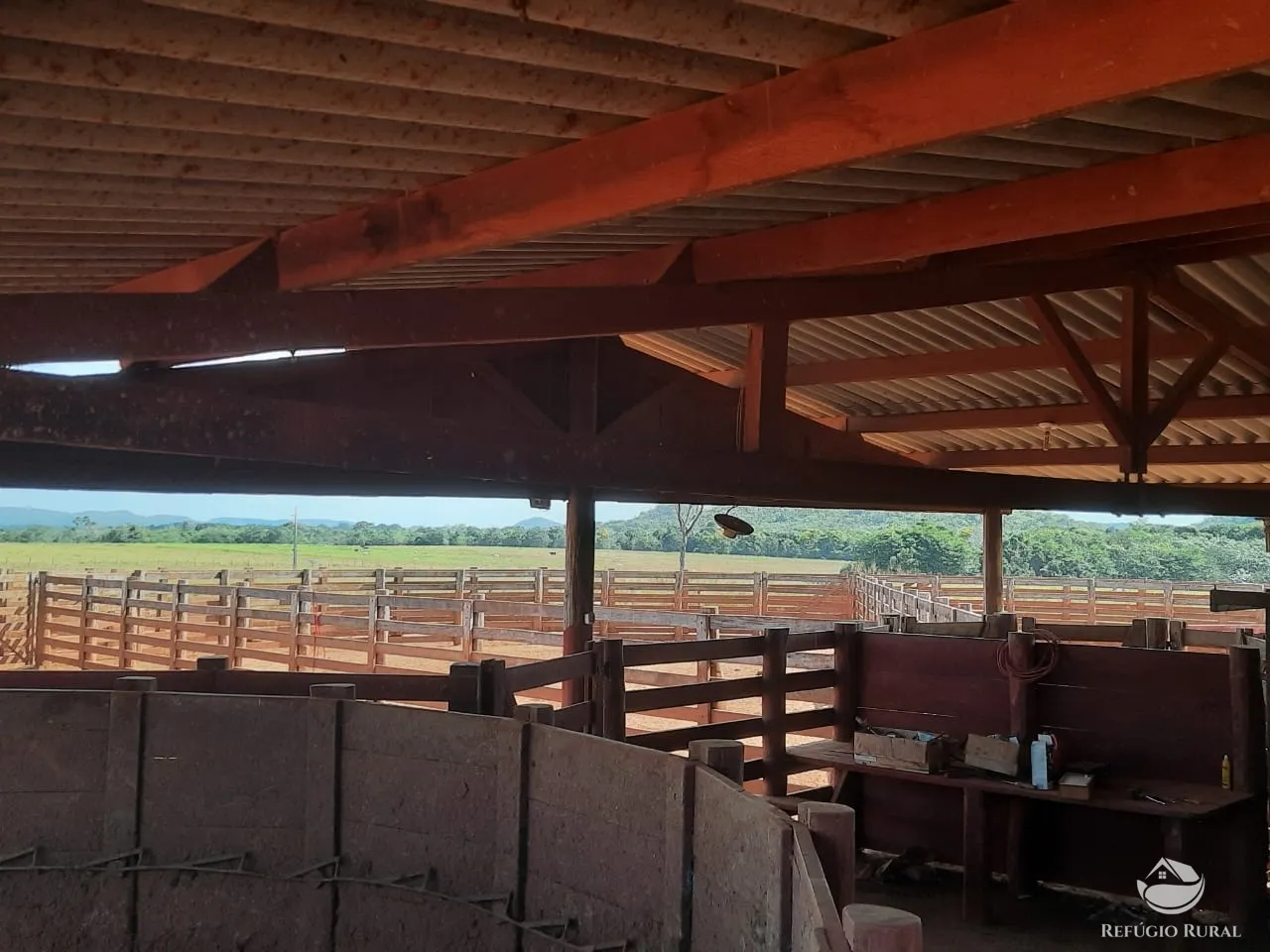 Farm for sale of 48,974 acres in Goiatins, TO, Brazil
