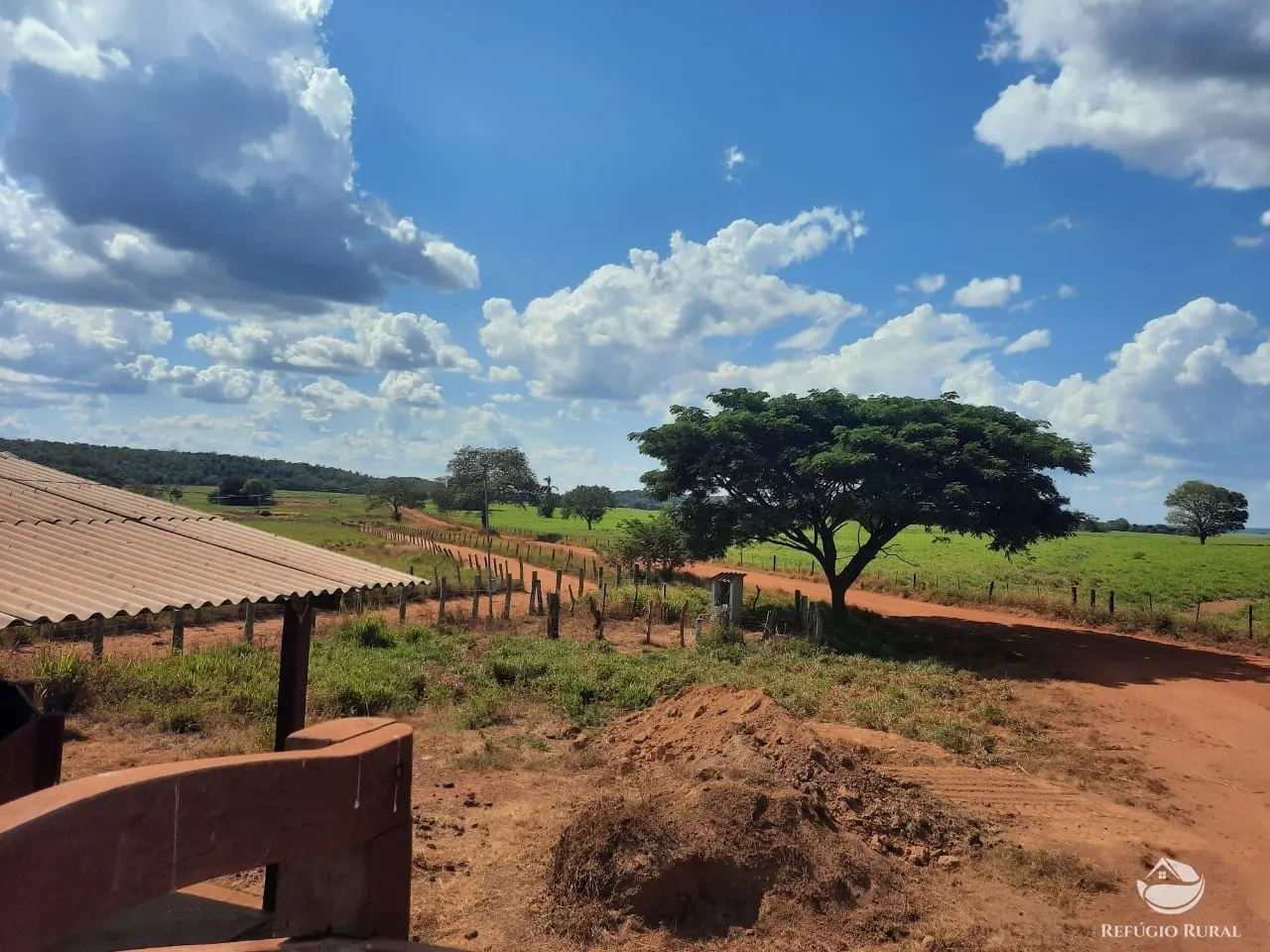 Farm for sale of 48,974 acres in Goiatins, TO, Brazil