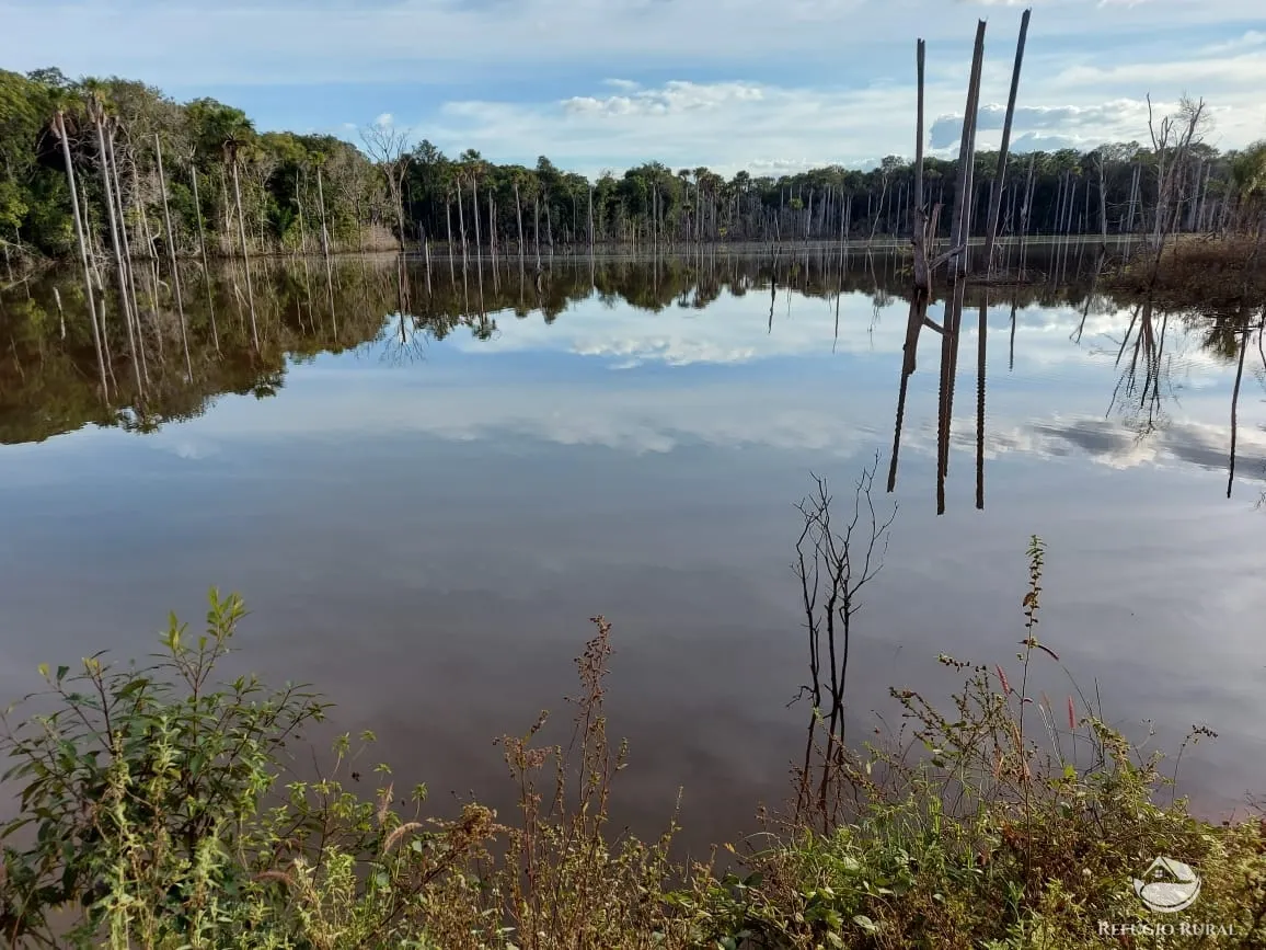 Farm for sale of 48,974 acres in Goiatins, TO, Brazil