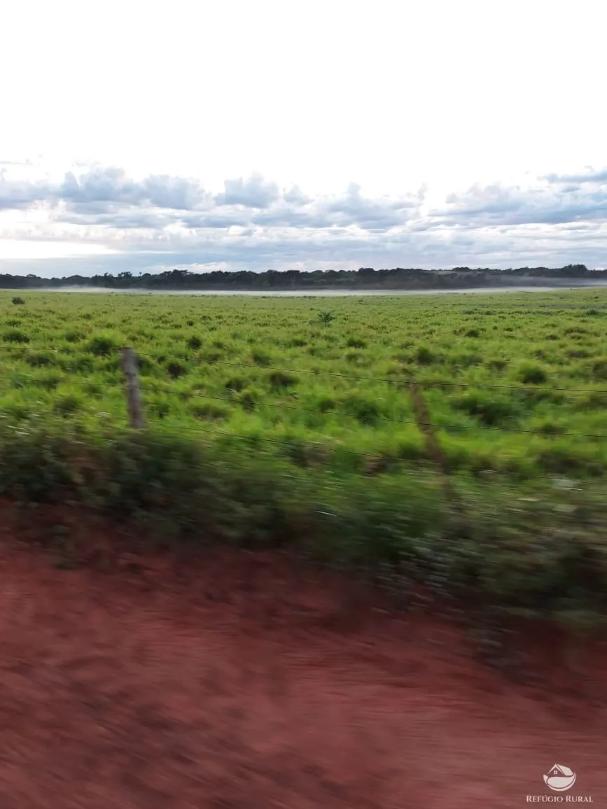 Farm for sale of 48,974 acres in Goiatins, TO, Brazil