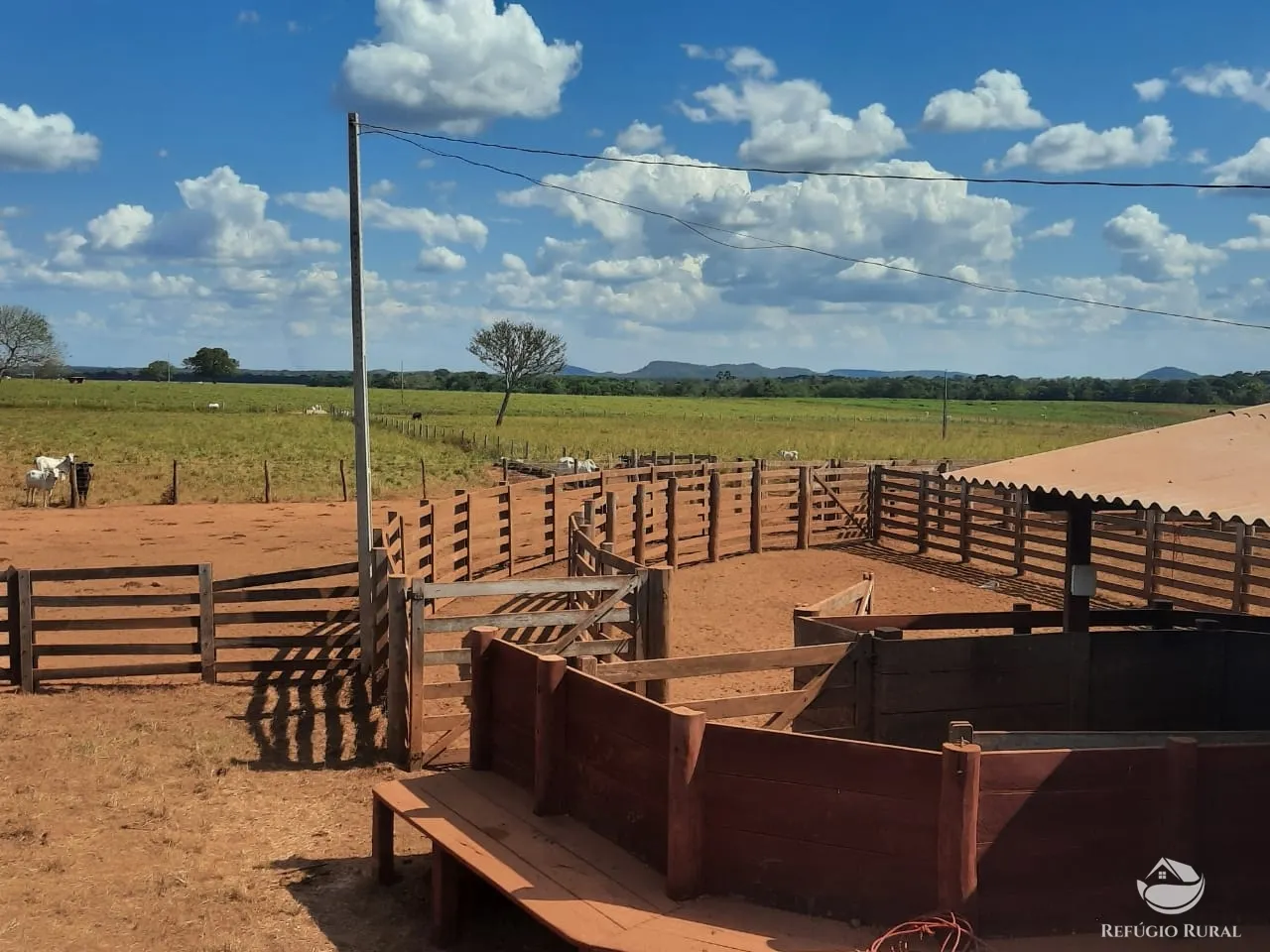 Farm for sale of 48,974 acres in Goiatins, TO, Brazil