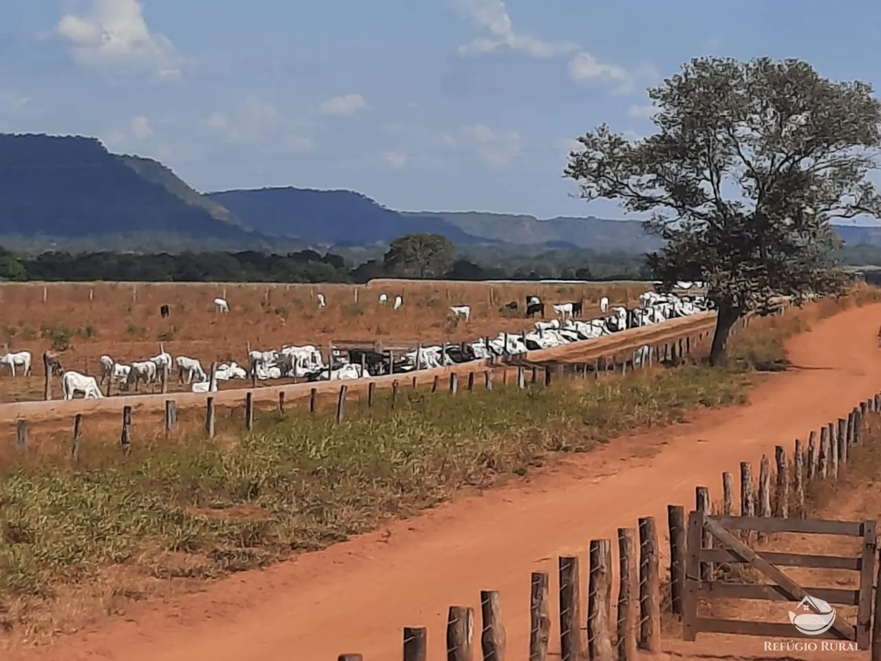 Farm for sale of 48,974 acres in Goiatins, TO, Brazil