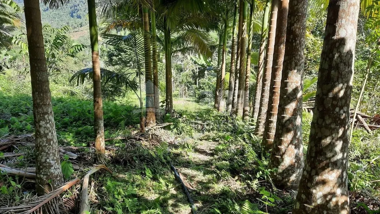 Country home for sale of 7 acres in Vidal Ramos, SC, Brazil