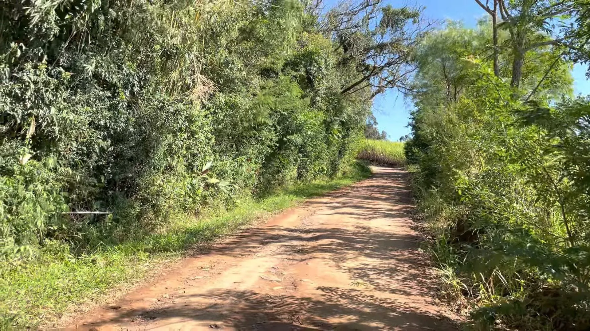 Chácara à venda de 9.000 m² em Santo Antônio da Patrulha, RS, Brasil