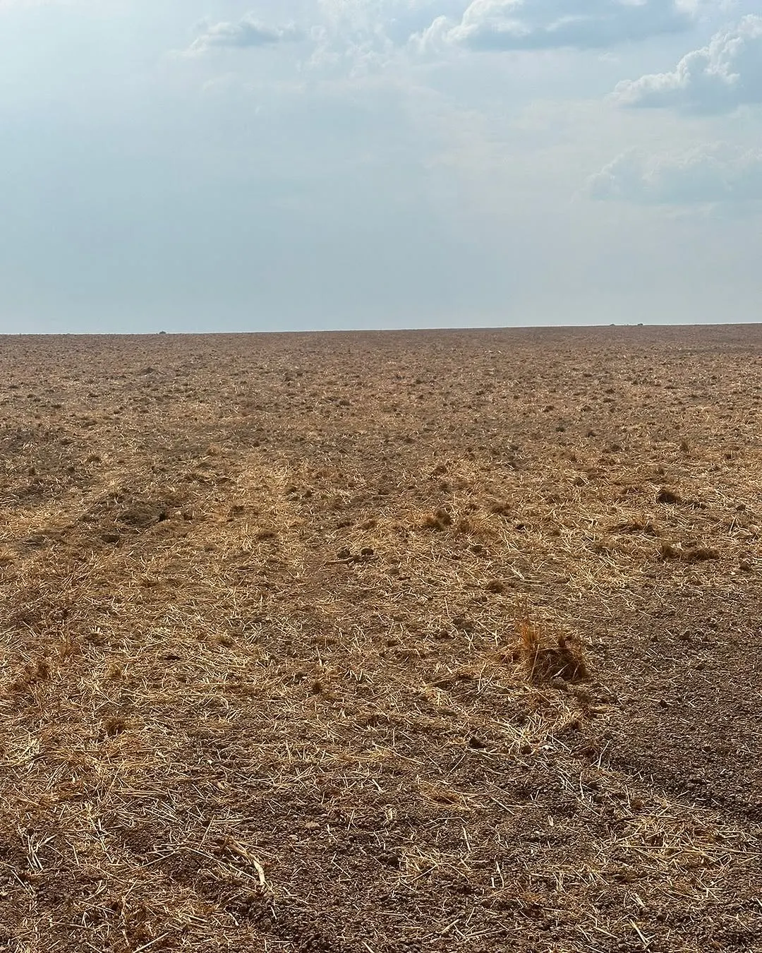 Fazenda à venda de 3.200 ha em Redenção, PA, Brasil