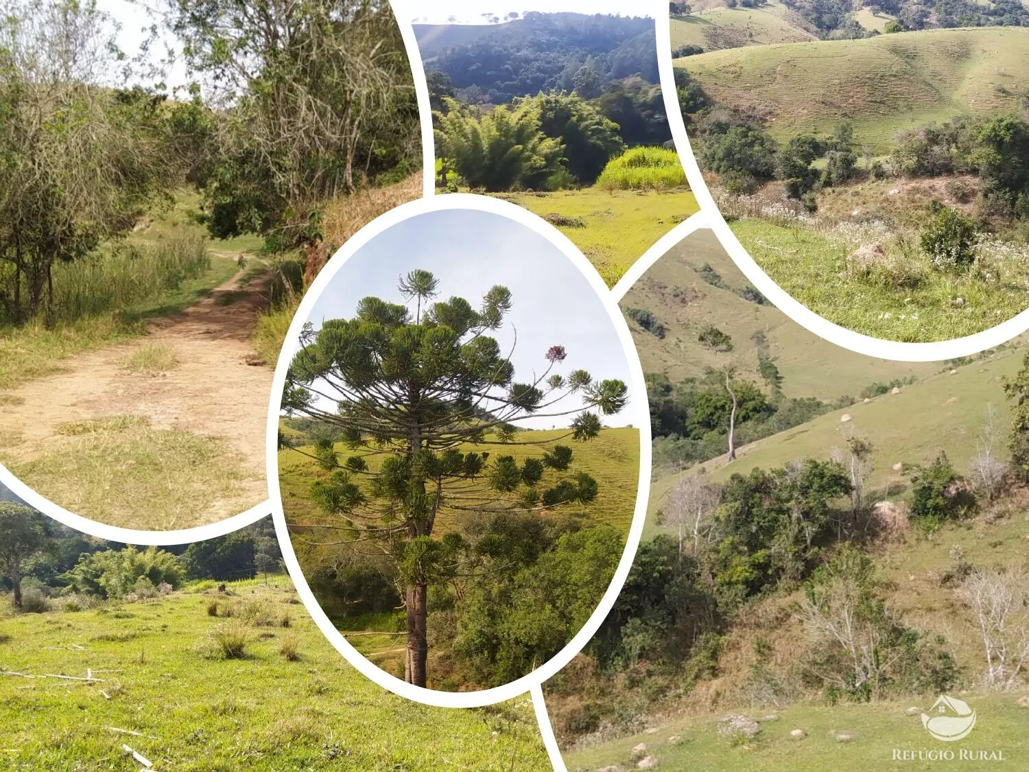 Small farm for sale of 119 acres in Cunha, SP, Brazil