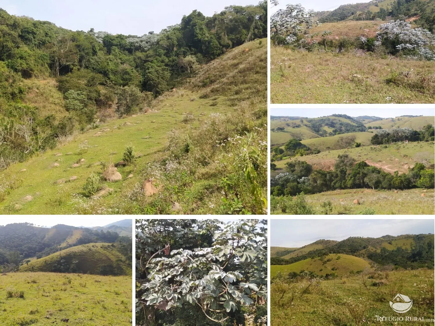 Small farm for sale of 119 acres in Cunha, SP, Brazil