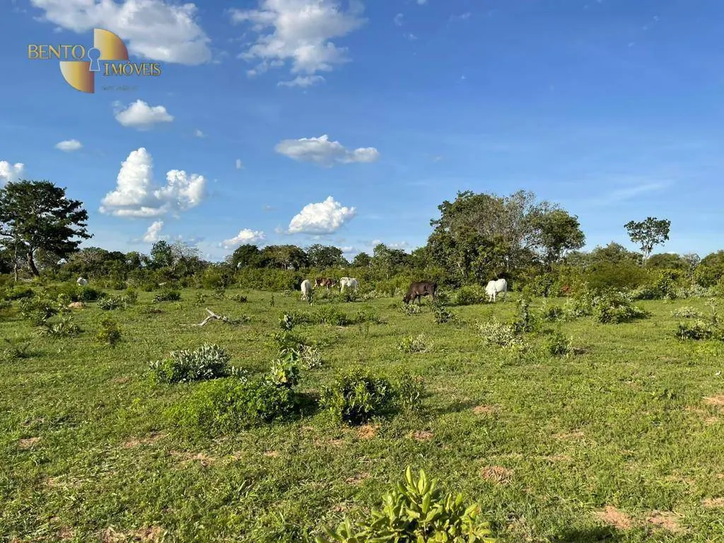 Fazenda à venda de 1.600 ha em Guiratinga, MT, Brasil