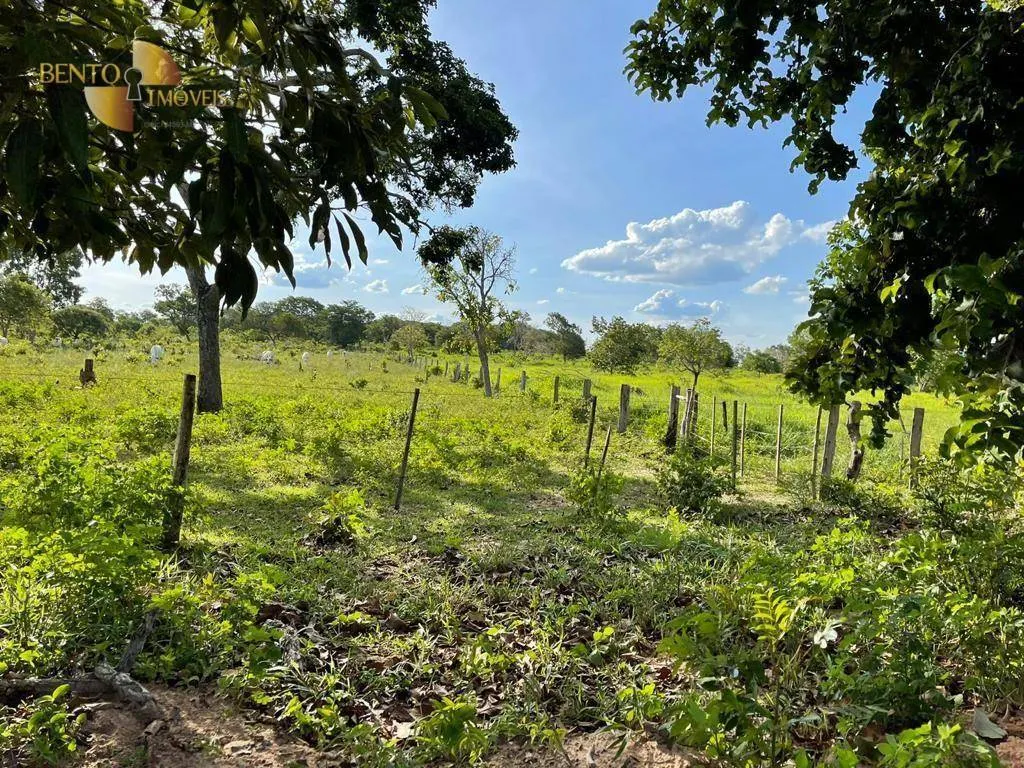 Fazenda à venda de 1.600 ha em Guiratinga, MT, Brasil