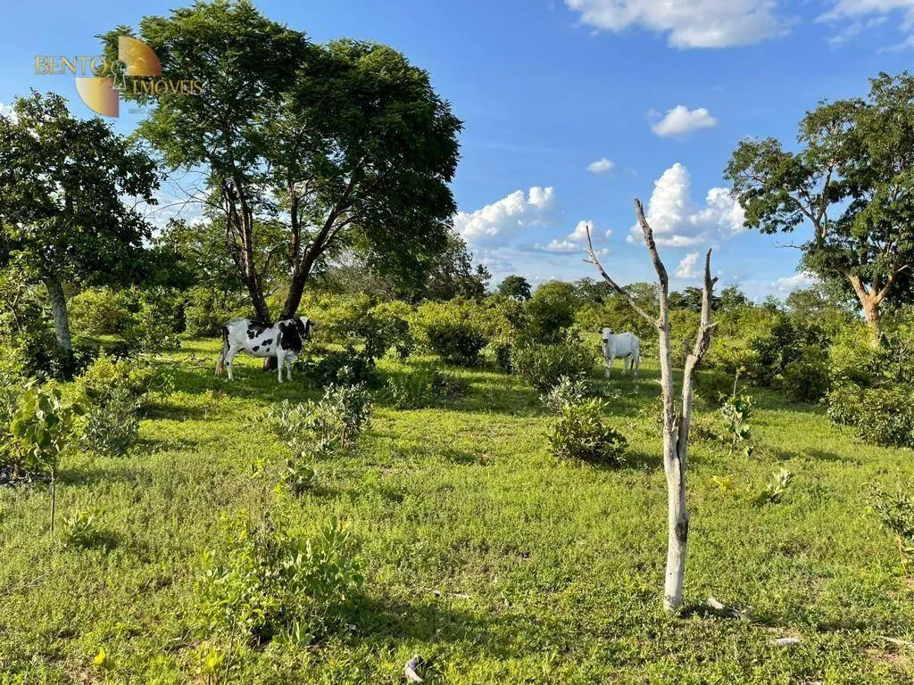 Fazenda à venda de 1.600 ha em Guiratinga, MT, Brasil