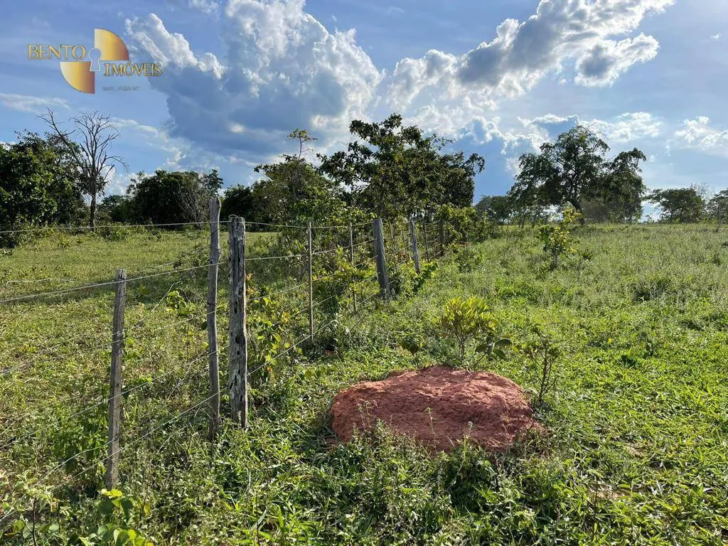 Fazenda à venda de 1.600 ha em Guiratinga, MT, Brasil