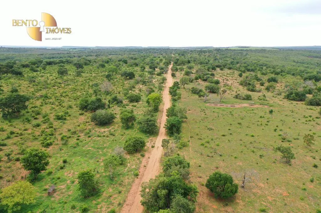 Fazenda à venda de 1.600 ha em Guiratinga, MT, Brasil