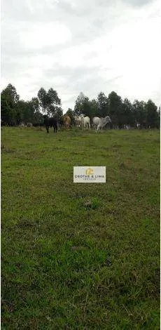 Sítio à venda de 13 ha em Guararema, SP, Brasil