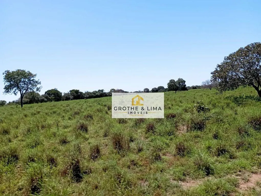 Fazenda à venda de 1.104 ha em Araguacema, TO, Brasil