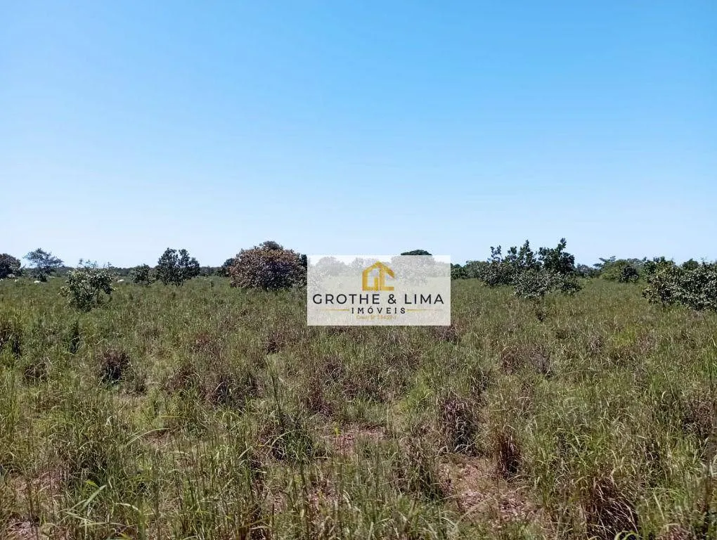 Fazenda à venda de 1.104 ha em Araguacema, TO, Brasil