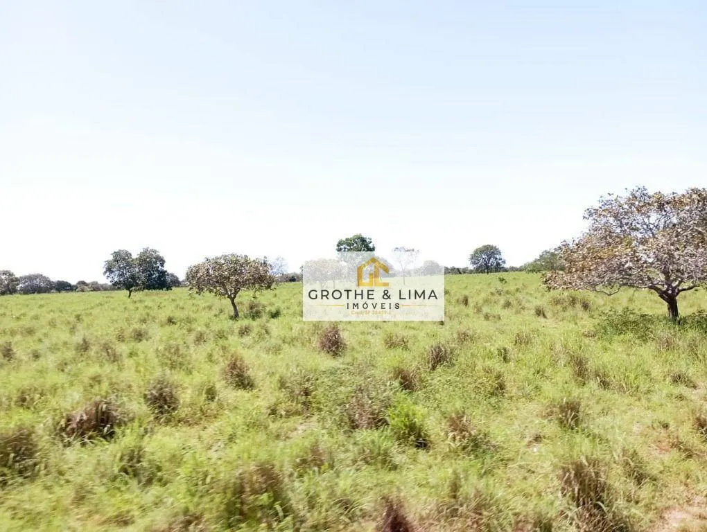 Fazenda à venda de 1.104 ha em Araguacema, TO, Brasil