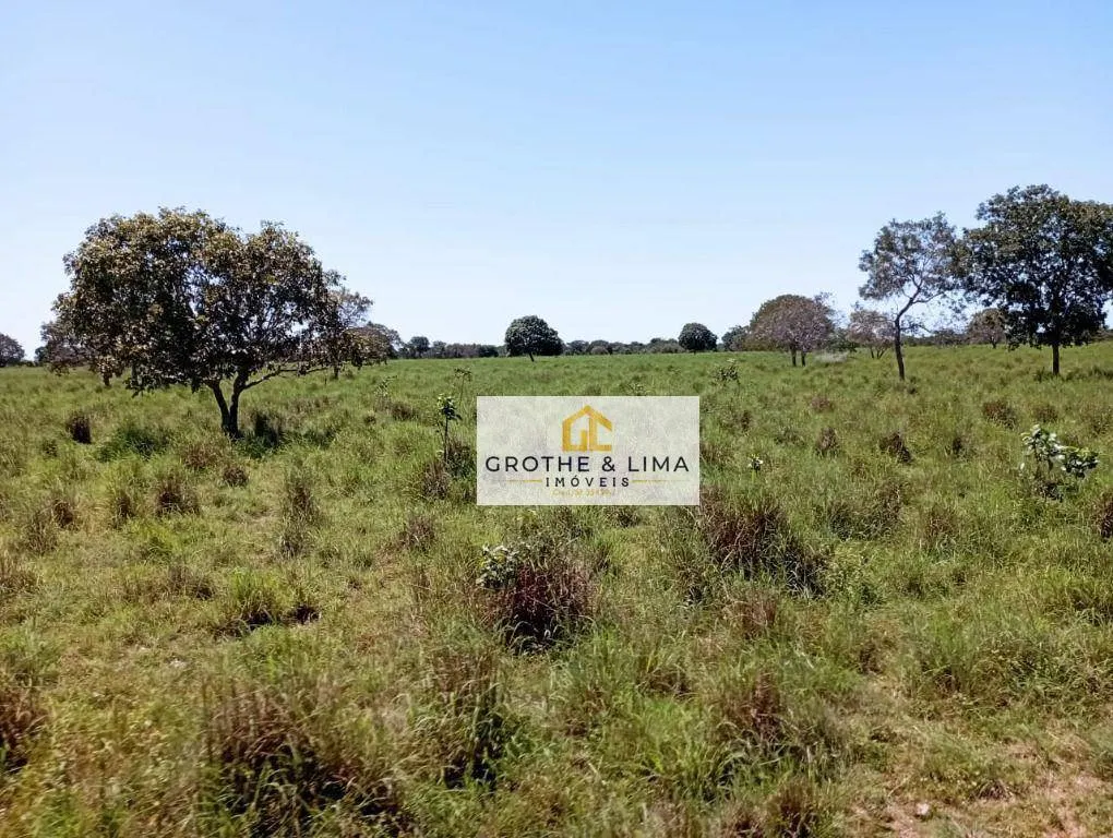 Fazenda à venda de 1.104 ha em Araguacema, TO, Brasil