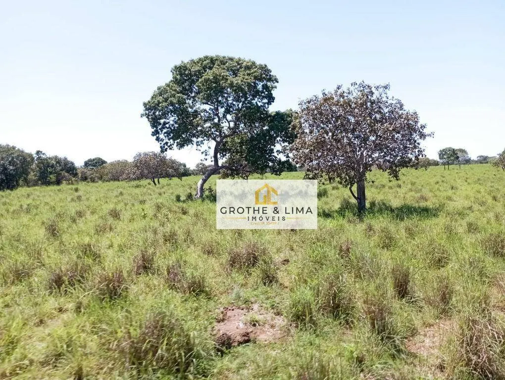 Fazenda à venda de 1.104 ha em Araguacema, TO, Brasil