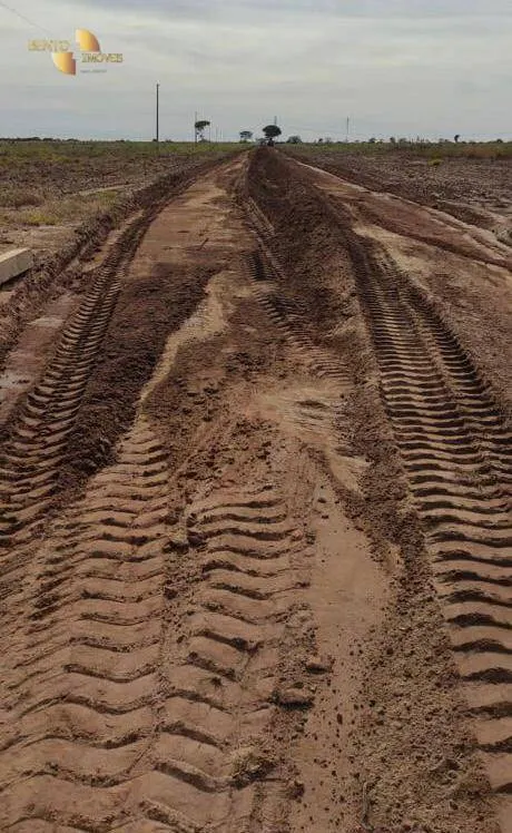 Fazenda à venda de 2.260 ha em Campos de Júlio, MT, Brasil