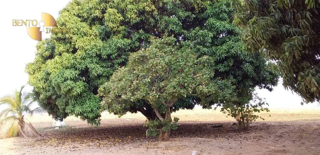 Fazenda à venda de 2.260 ha em Campos de Júlio, MT, Brasil