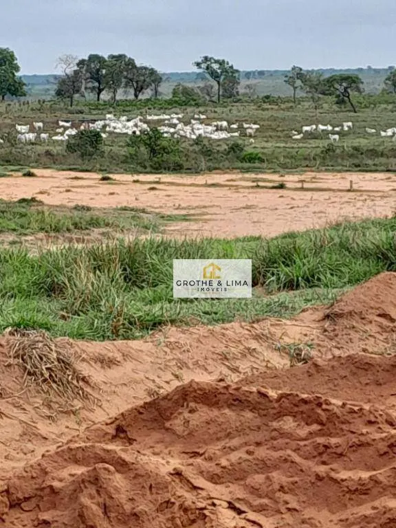 Fazenda à venda de 2.405 ha em Água Clara, MS, Brasil