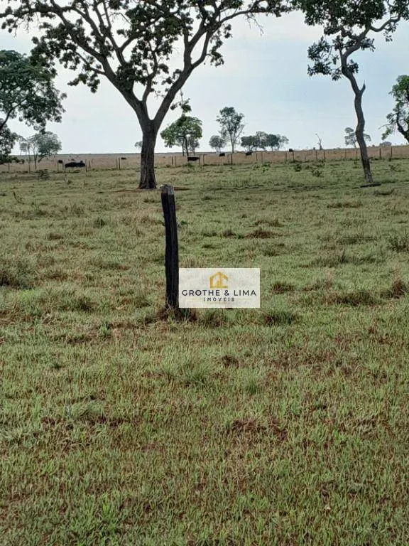 Fazenda à venda de 2.405 ha em Água Clara, MS, Brasil