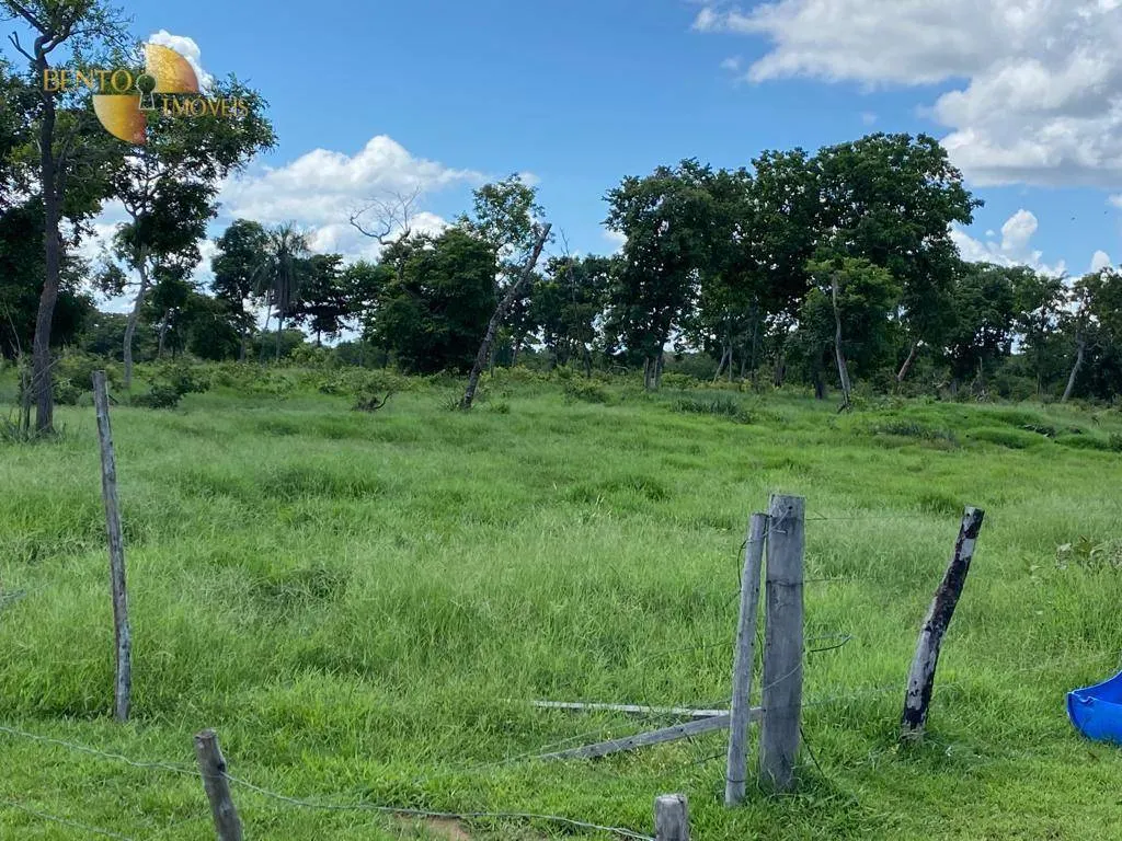Fazenda à venda de 609 ha em Poconé, MT, Brasil