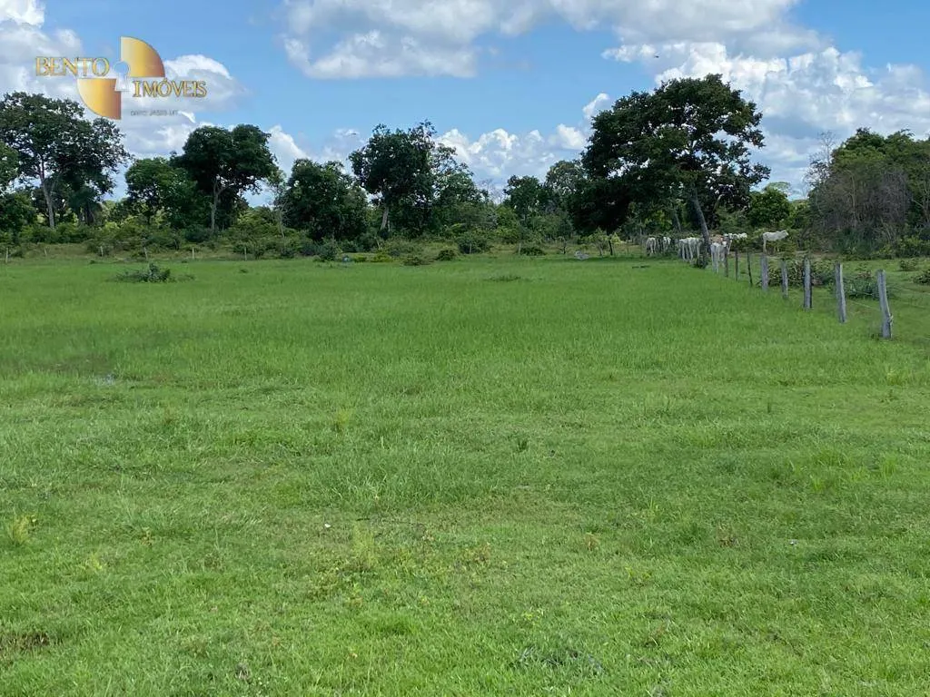 Fazenda à venda de 609 ha em Poconé, MT, Brasil