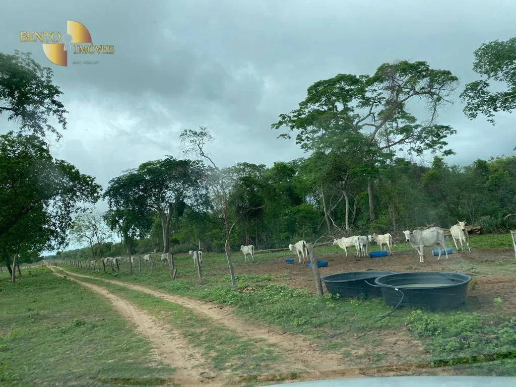Fazenda à venda de 609 ha em Poconé, MT, Brasil