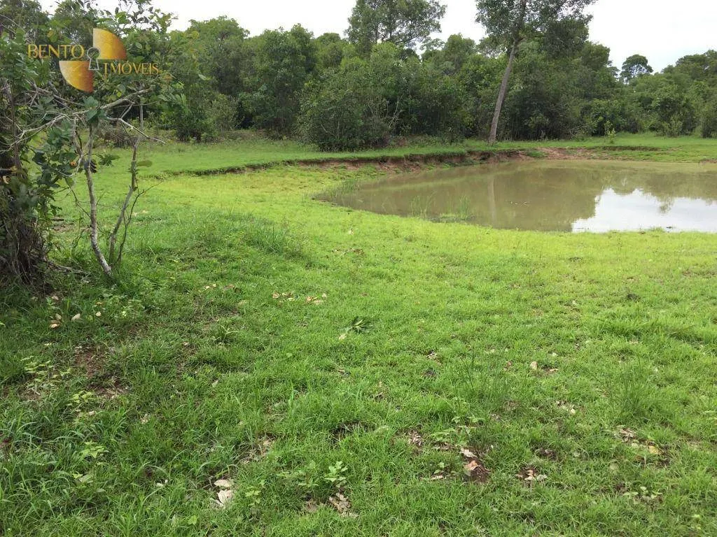 Fazenda à venda de 609 ha em Poconé, MT, Brasil