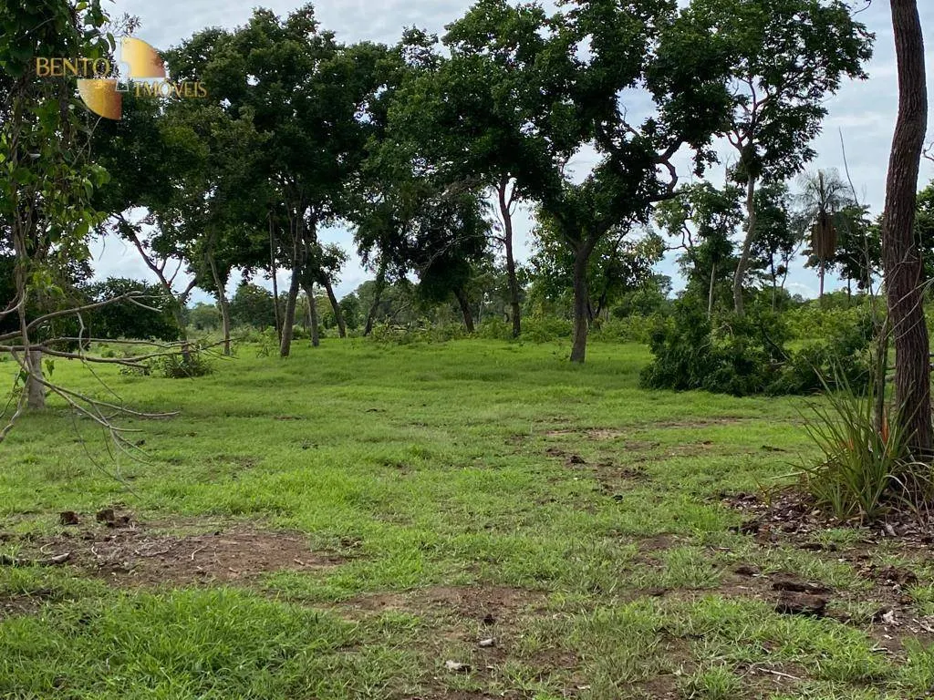 Fazenda à venda de 609 ha em Poconé, MT, Brasil