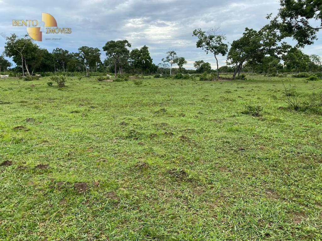 Fazenda à venda de 609 ha em Poconé, MT, Brasil