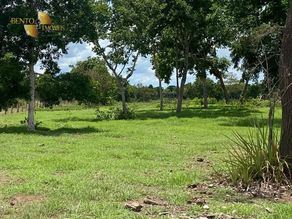 Fazenda à venda de 609 ha em Poconé, MT, Brasil
